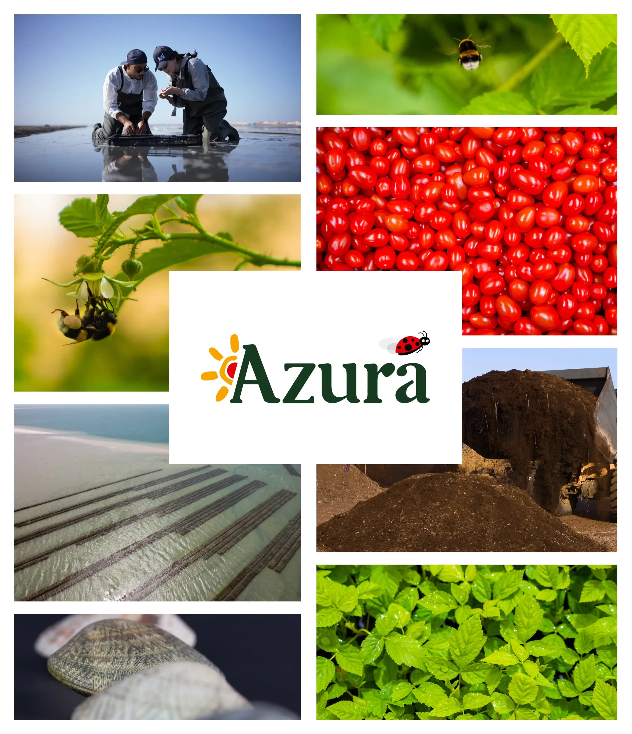 Photo montage Azura Azura alternative image