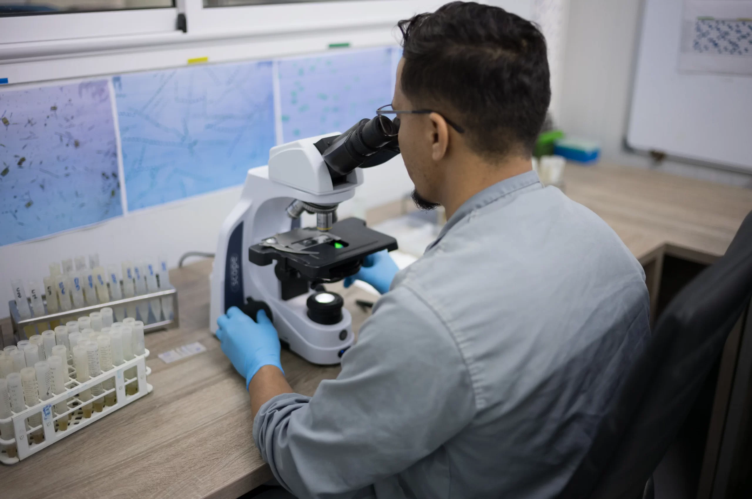 Azura alternative image