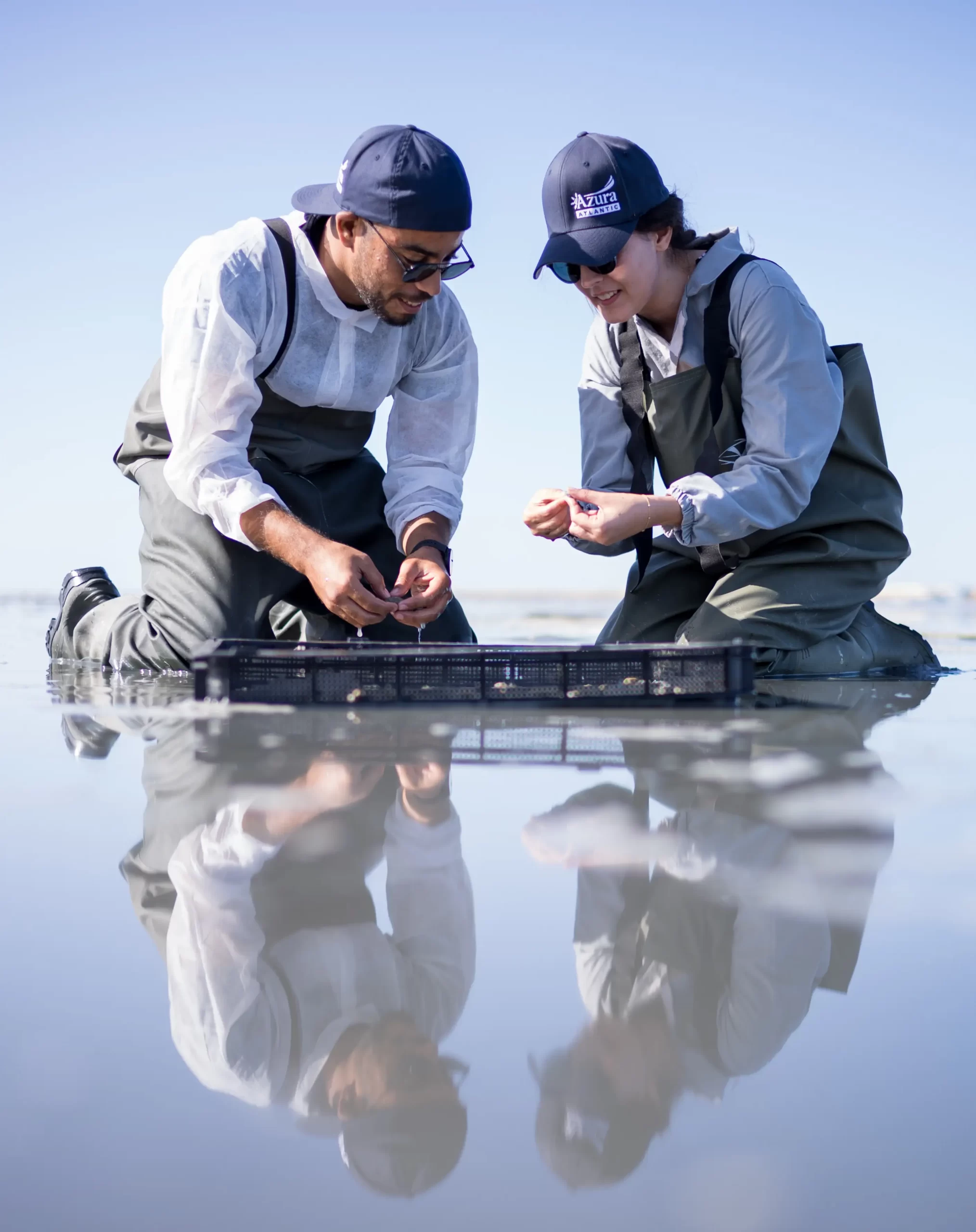 Azura alternative image