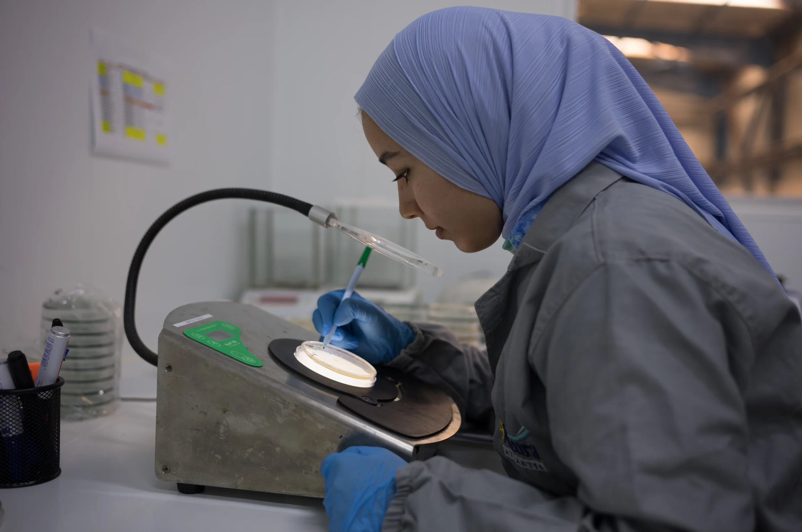 Azura alternative image