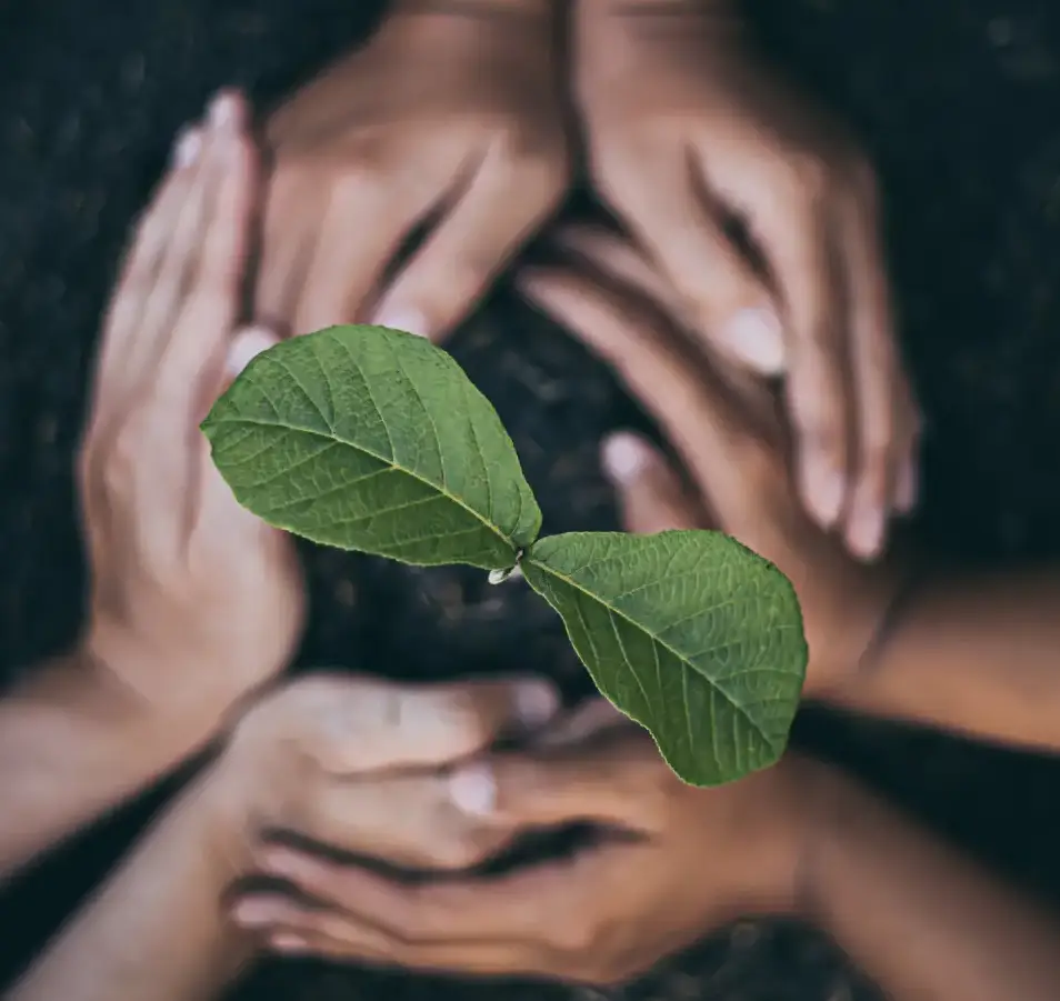 Azura alternative image