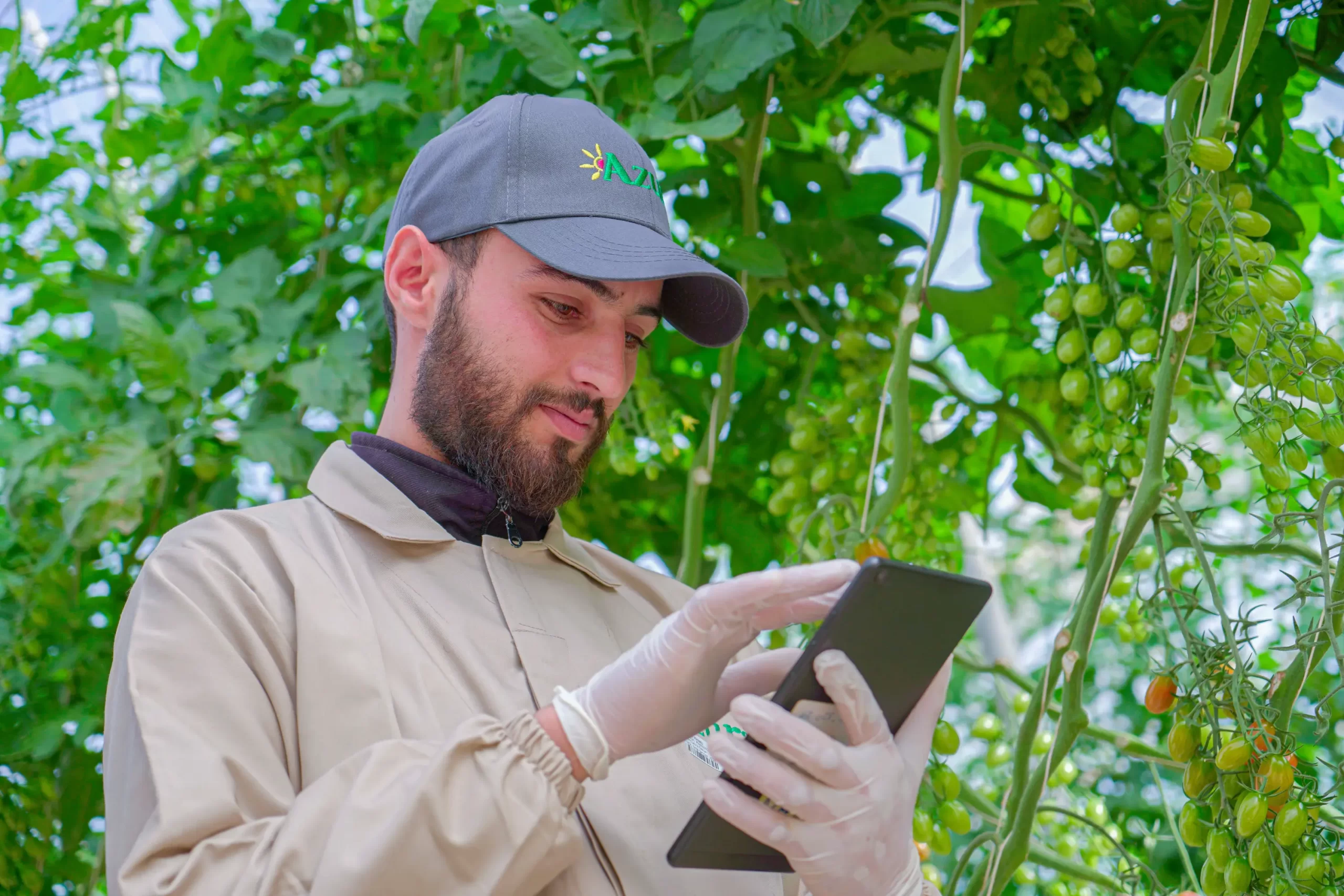 Azura alternative image