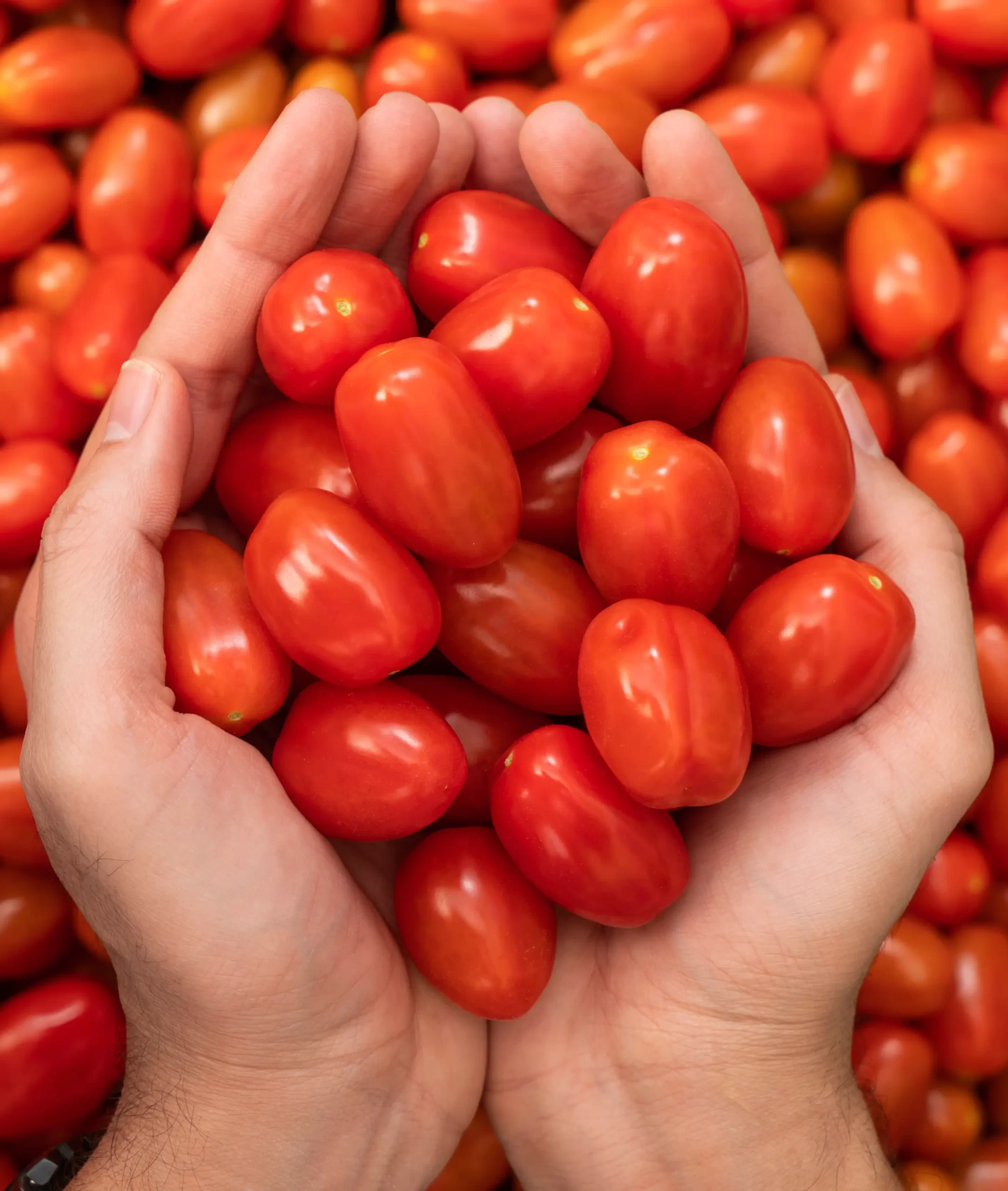 Azura alternative image