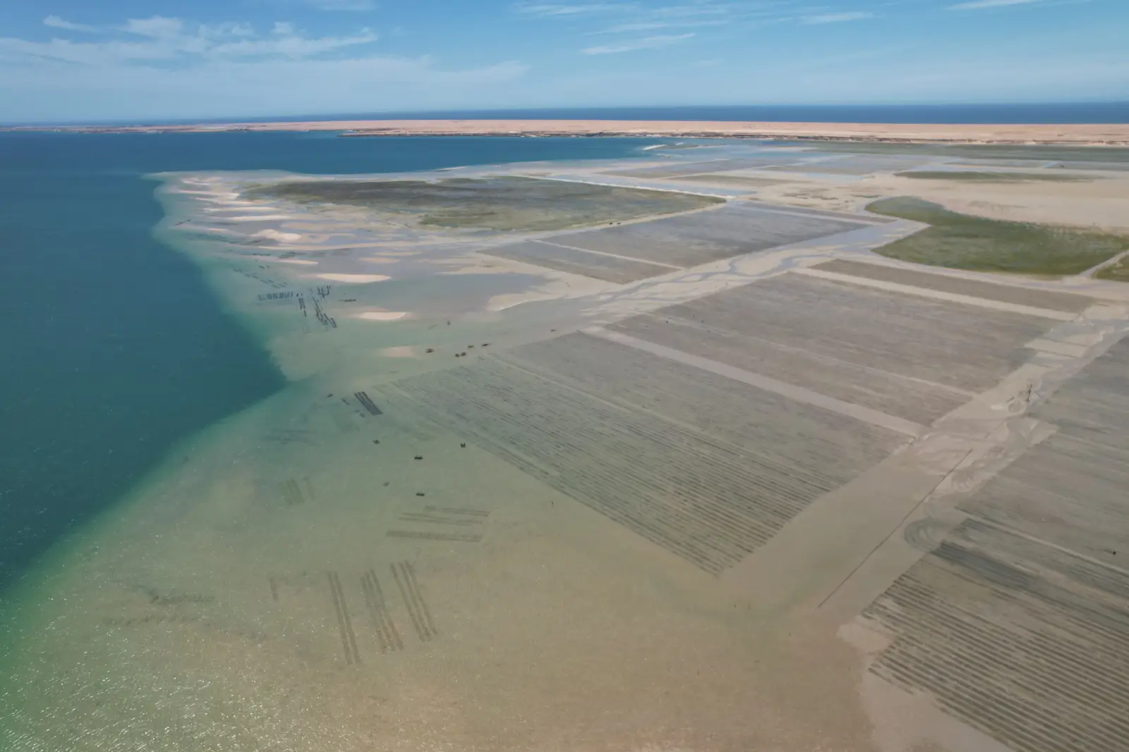 Azura alternative image