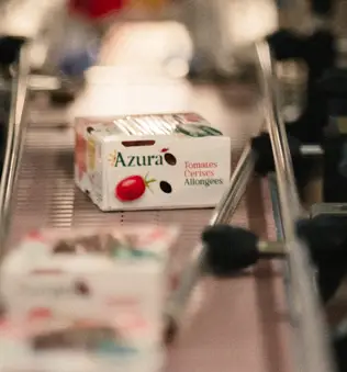 Azura alternative image