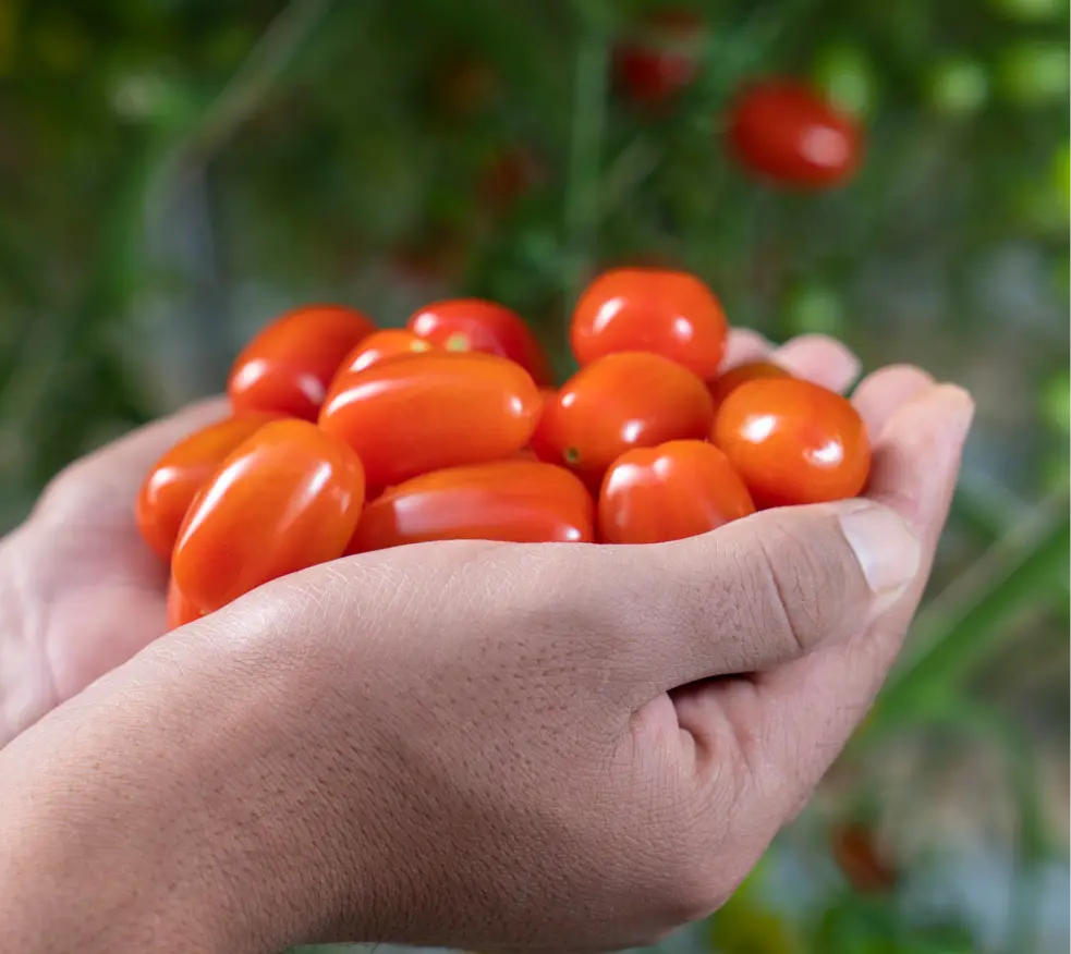 Azura alternative image